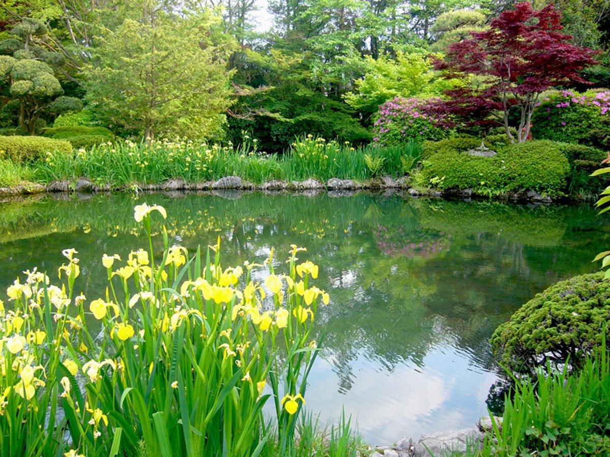 Hotel Garden Palace Kumagaya Buitenkant foto